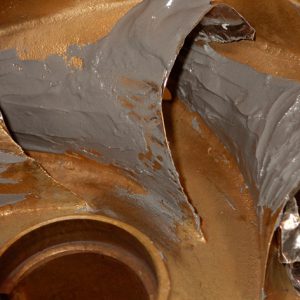 PH Variant Application 4